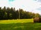 Straw bales on a green meadow in front of the forest