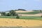 straw bales on a harvested field at the edge of a nature reserve