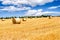 Straw bales in irish countryside