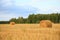 Straw bales in irish countryside