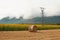 Straw bales in the newly harvested fields and sunflowers