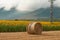 Straw bales in the newly harvested fields and sunflowers