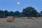 Straw bales next to an oak tree during a summer sunset and with the full moon rising in the background.