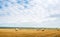 straw in bales roll and stubble and beautiful sky