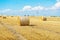 Straw bales of wheat. Straw bales in the beatiful field. haystacks lying on the field. farmland. Farmer concept. Beatiful