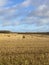 Straw bales and winter woodland