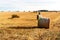 Straw ball on field in the Czech Republic. Harvested field. Morning on the far. Hay bales after harvest on the field. hay-roll on