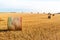 Straw ball on field in the Czech Republic. Harvested field. Morning on the far. Hay bales after harvest on the field. hay-roll on