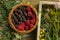 Straw box of fresh seasonal summer berries