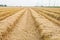 Straw field by product from rice field a