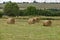 Straw field with round dry hay bales in front of mountain range