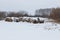 Straw Fodder Bales in Winter: straw that were left after the fall harvest are used as animal feed and bedding during the winter