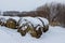 Straw Fodder Bales in Winter: straw that were left after the fall harvest are used as animal feed and bedding during the winter