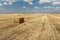 Straw harvesting in the field