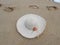 Straw hat and footprint on sandy beach sea