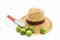 Straw hat and hand trowel and limes on white