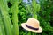A straw hat that hangs on a large cactus, close-up