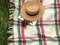 Straw hat on the open books and red peonies on the blanket on the green grass. Copy space. Picnic concept. WEdding theme style. fe