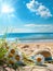 A straw hat rests among daisies on a sun-kissed beach, symbolizing leisure and the simple joys of summer. The scene is a