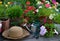 Straw hat, watering can, working tools and flowerpots with petunia and phlox flowers