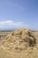 The straw haystack on the field after harvesting.