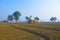 Straw hut of local people in India, Rajasthan