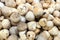 Straw mushroom