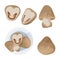 Straw mushrooms icons set. Simple icon of mushrooms for thai soup
