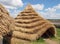 Straw Neolithic Houses