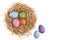 Straw nest with nice colored Easter eggs