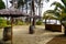 Straw parasol on the maguide beach in biscarrosse lake France