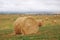 Straw piles in autumn field