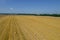 Straw pressed into rolls in rows lies on the field under the blue sky. Aerial view. Photo from a drone.