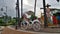 Straw Puppet and white cart under sugar palm tree