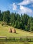 Straw rack on a countryside backyard