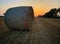 Straw roll in a harvested field in the golden hour