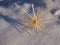 A straw snowflake falling into the snow