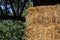 Straw stacked in the stable shed to feed the horses