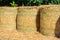 Straw stems put side by side in a farm during daytime