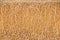 Straw surface, Reeds texture.  Thatch pack canvas, Straw pack texture, Stack of straw texture image