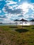 Straw umbrellas on green grass harsh shadow, sand beach vivid blue sea water sky background sunbeam. Scenic landscape