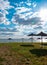 Straw umbrellas on green grass harsh shadow, sand beach vivid blue sea water sky background sunbeam. Scenic landscape