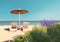 Straw  umbrellas Wild  flowers  on beach blue sky  loungers on white sand on horizon blue  sea tropical nature resort Greece