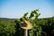 Straw wicker hat hanging on a pole in a vineyard