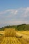 Strawbale on the field