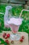 Strawberrie smoothie outside summer