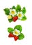 Strawberries arrangements with flowers, berries and leaves