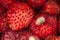 Strawberries background. Foreground close up macro