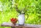 Strawberries in a basket and bouquet of flowers in metal jug on a wooden bench