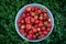 Strawberries in basket on green grass background